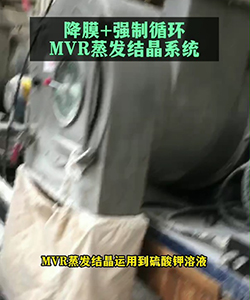 降膜+强制循环MVR蒸发结晶系统